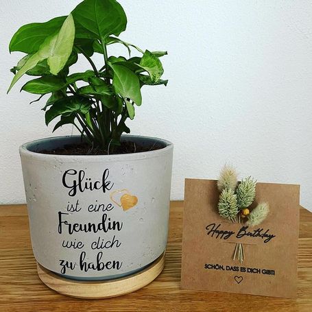 Blumentopf, 14 cm + Geburtstagskarte mit Trockenblumen